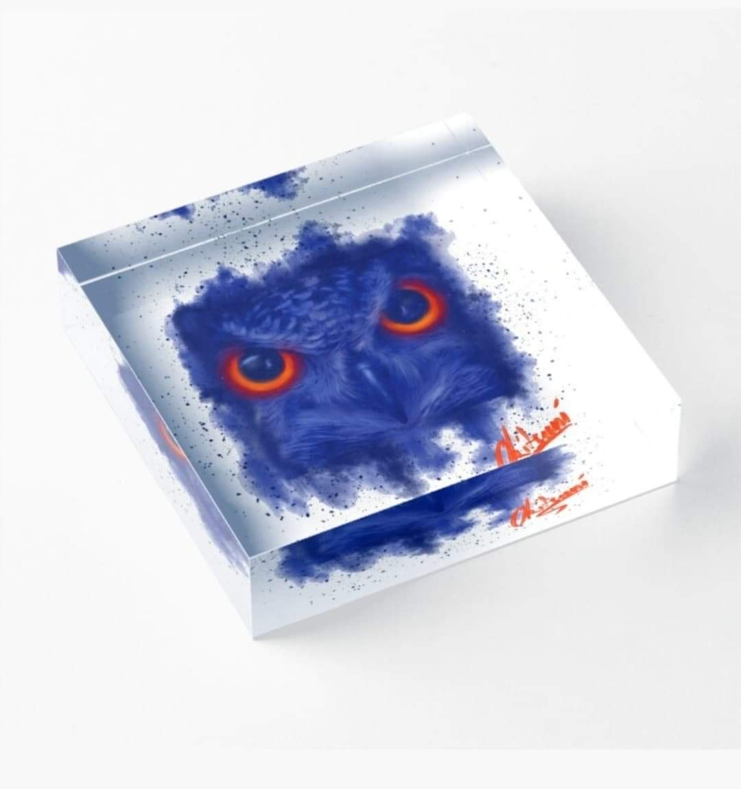Bloc Acrylique Blue Owl